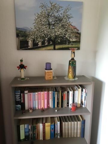 Ferienwohnung Graupner Schwarzenberg  Εξωτερικό φωτογραφία